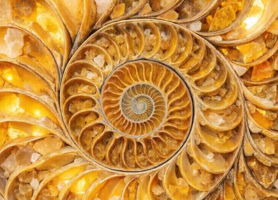 Bonus puzzle · Oct 14