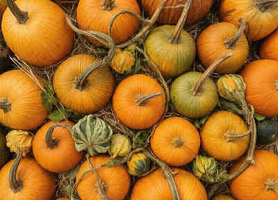 Bonus puzzle · Oct 26