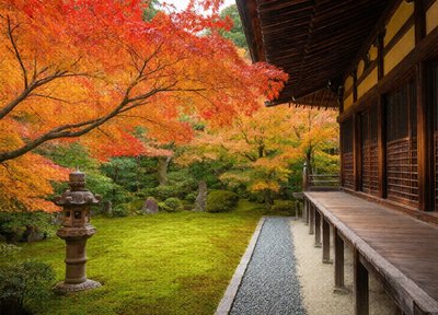 Kyoto Maple Garden