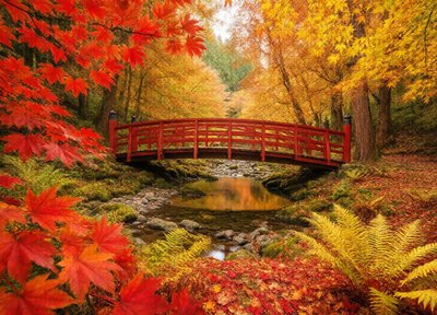 Maple Bridge