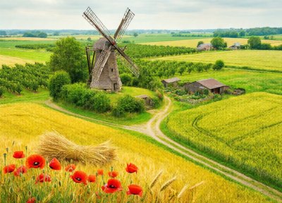 Wheat Windmill
