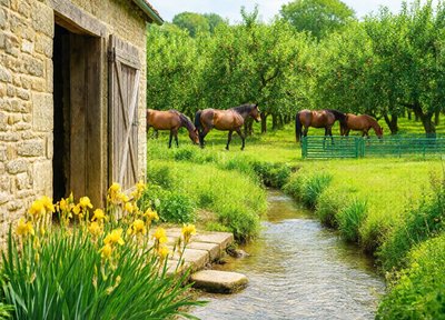 Creekside Stable