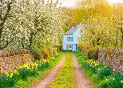 Apple Blossom Lane