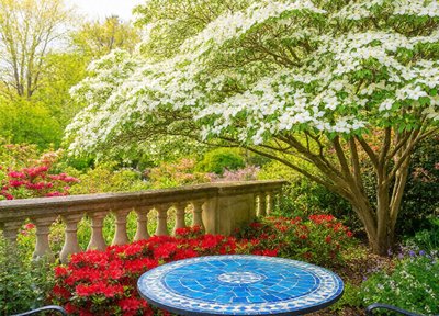 Dogwood Terrace